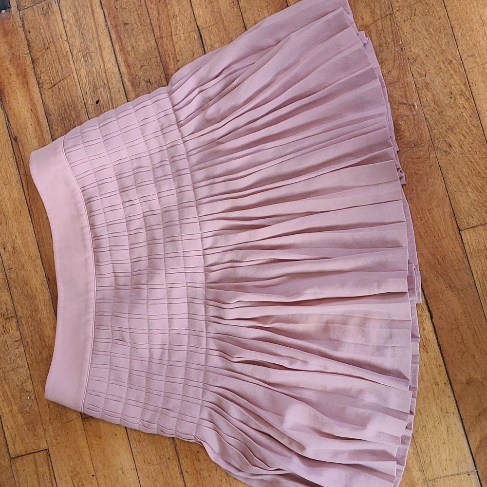 J. Crew Dusty Pink Pleated Skirt